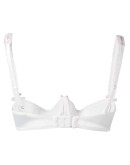 Antoinette quarter cup bra