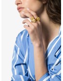 Aien ring