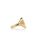 Aien ring