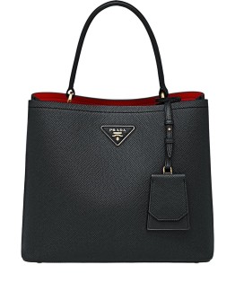 Double Saffiano leather bag