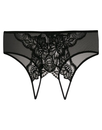 lace brief