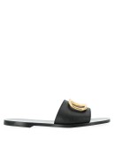 VLOGO slides
