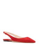 Erin pointed ballerina shoes