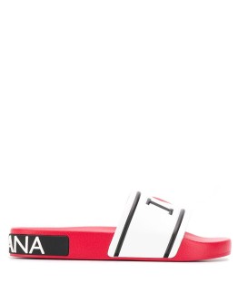 logo slides