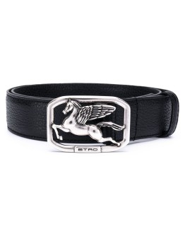 Pegaso belt