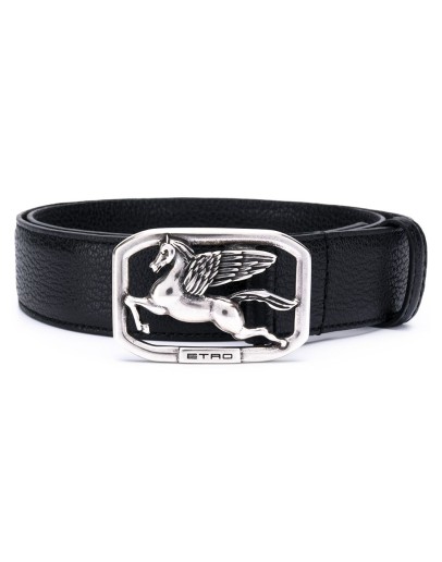 Pegaso belt