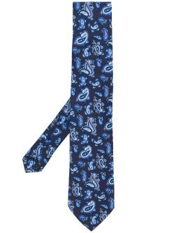 paisley silk tie