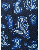 paisley silk tie