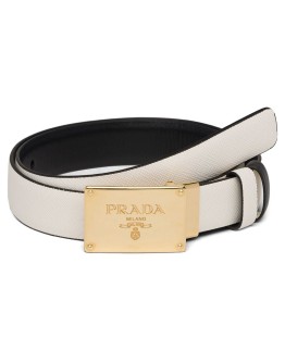 reversible branded belt