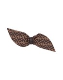 FF motif bow hairpin