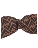 FF motif bow hairpin