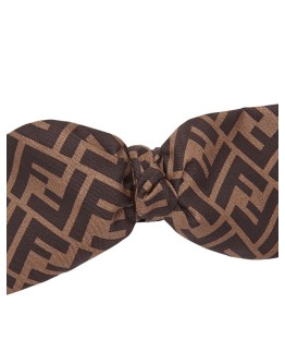 FF motif bow hairpin