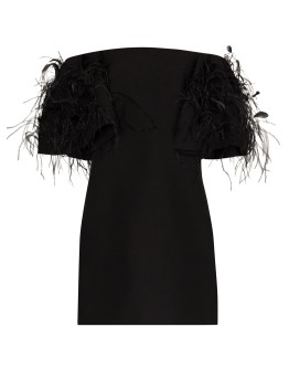 feather embroidered mini dress