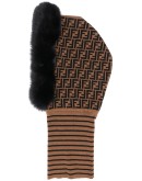 FF motif hood