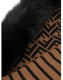 FF motif hood