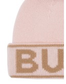 logo beanie