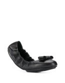 Lizinka ballerina flats