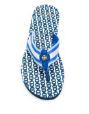 Gemini Link flip flops