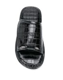 crocodile effect slides