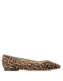 Mirele leopard print ballerina shoes