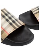 check print slides
