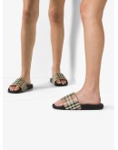 check print slides