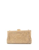 Laura crystal clutch bag