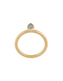 Paloma Petal ring