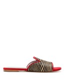 zebra print slides