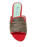 zebra print slides