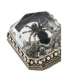 beetle ring