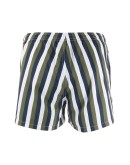 striped swim shorts