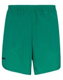 Wild Steve swim shorts