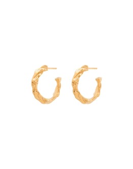 full moon hoop earrings