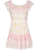 Denver floral-printed mini dress