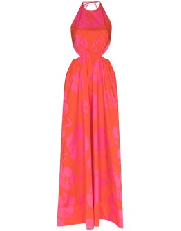 Apfel hibiscus-print maxi dress