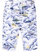 Greetings swim trunks