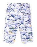 Greetings swim trunks