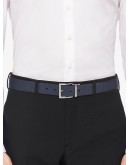 reversible belt