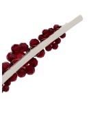 crystal hair clip