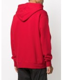 Paris Sprayed hoodie