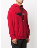 Paris Sprayed hoodie