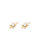 Flower pearl crystal earrings