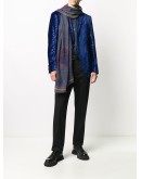 striped paisley scarf