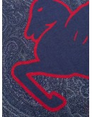 striped paisley scarf