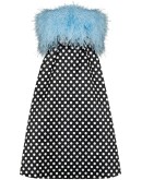 feather bodice polka dot dress