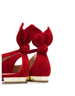 Deneuve ballerina shoes