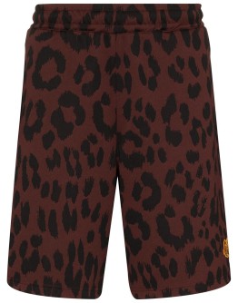 leopard print shorts