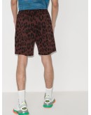 leopard print shorts