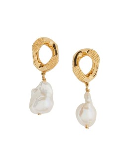 chain-link Earrings